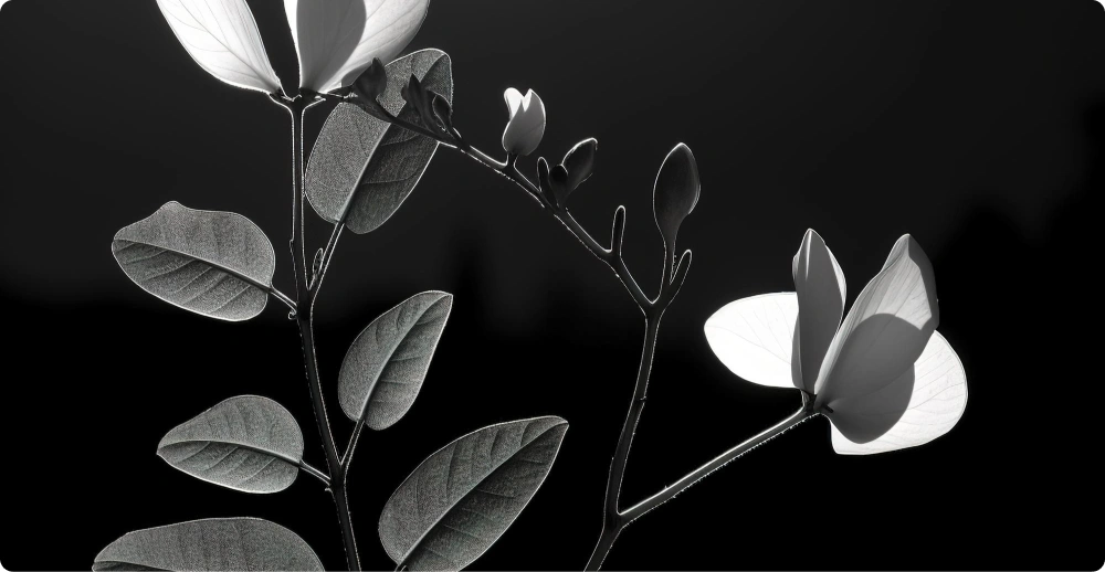 service003 | Visual & Digital Solutions – UAE's Leading Photography, Videography & Digital